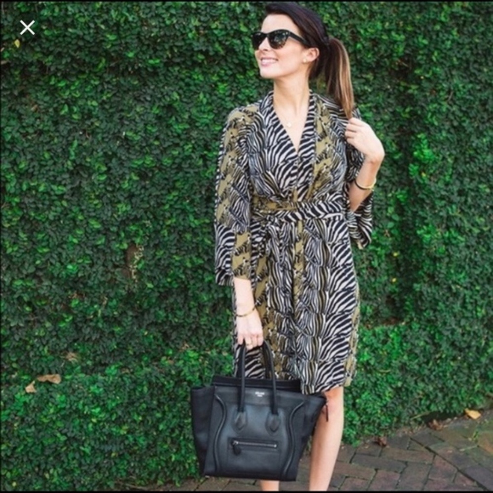 Banana Republic Issa London Zebra Dress - Size 4P